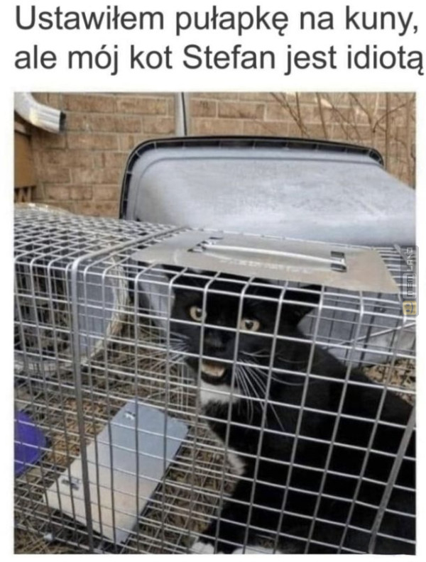 Śmieszny mem: 1915944 - MemLand