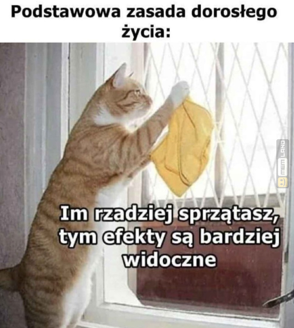 Śmieszny mem: 1917489 - MemLand