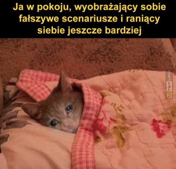 Śmieszny mem: 1924453 - MemLand