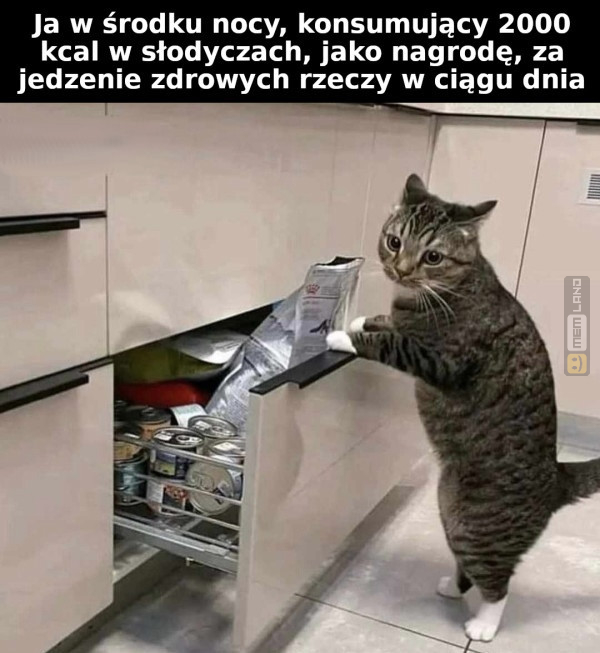 Śmieszny mem: 1928918 - MemLand