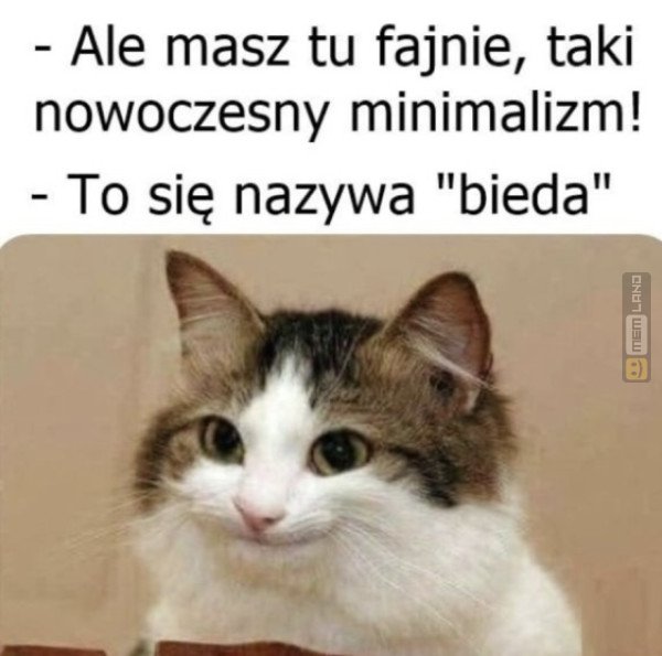 Śmieszny mem: 1931089 - MemLand