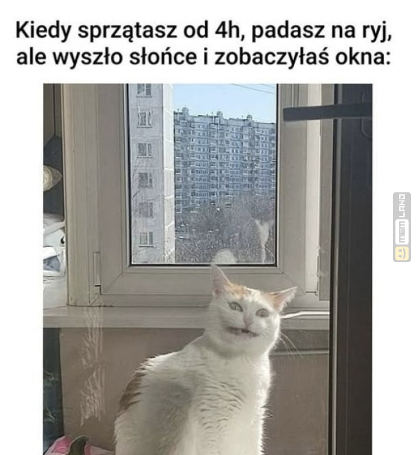 Śmieszny mem: 1939780 - MemLand