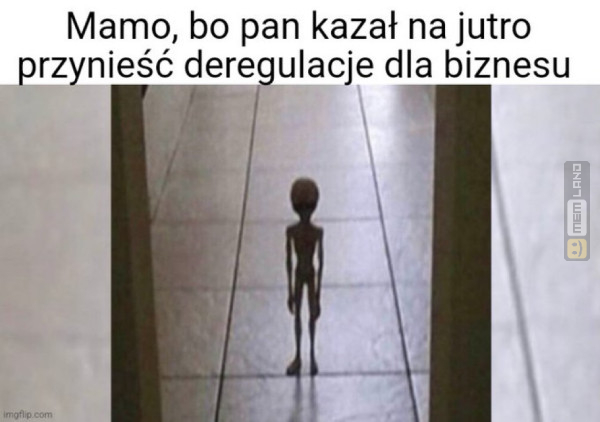 Śmieszny mem: 1964363 - MemLand