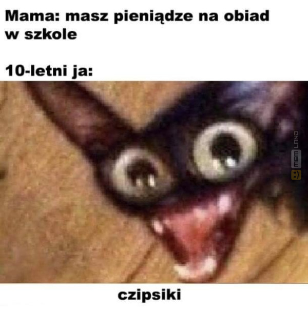 Śmieszny mem: 1980211 - MemLand