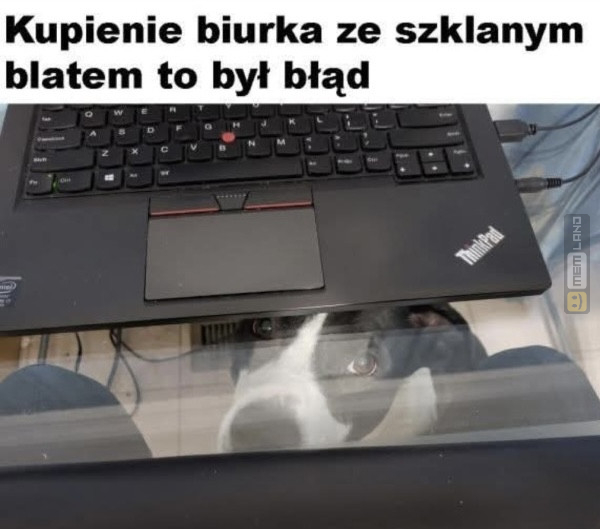 Śmieszny mem: 1995936 - MemLand