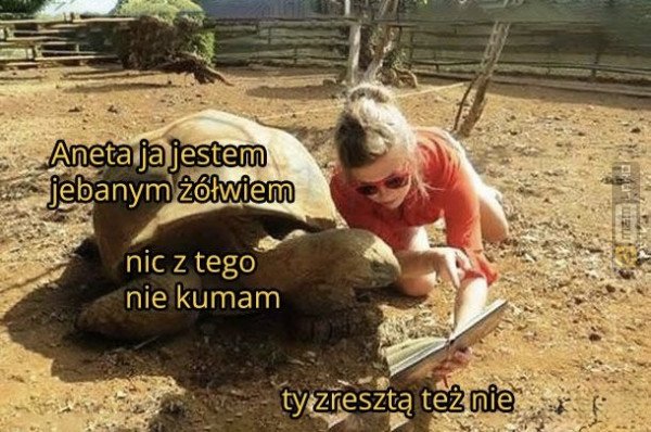 Śmieszny mem: 1997130 - MemLand