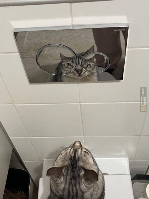 Śmieszny mem: 1997733 - MemLand