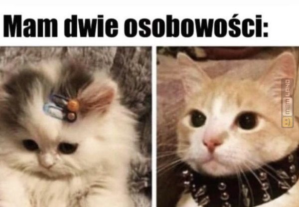 Śmieszny mem: 1999625 - MemLand