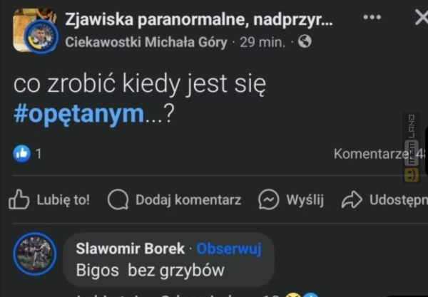 Śmieszny mem: 2008500 - MemLand