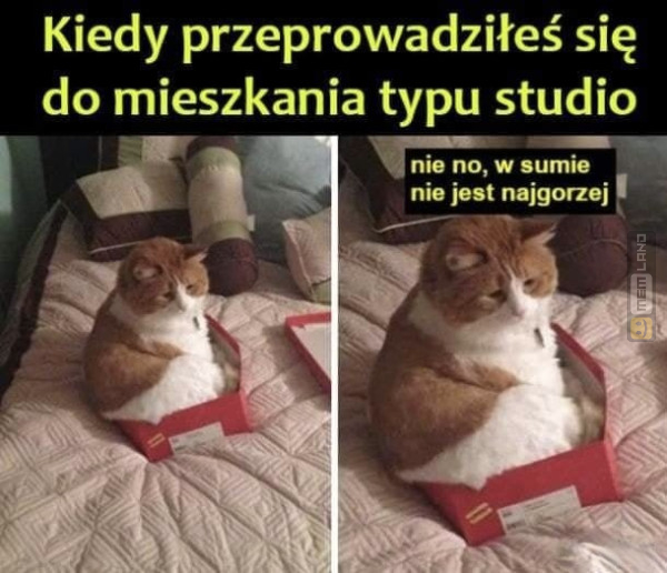 Śmieszny mem: 2012918 - MemLand