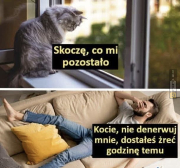 Śmieszny mem: 2023546 - MemLand