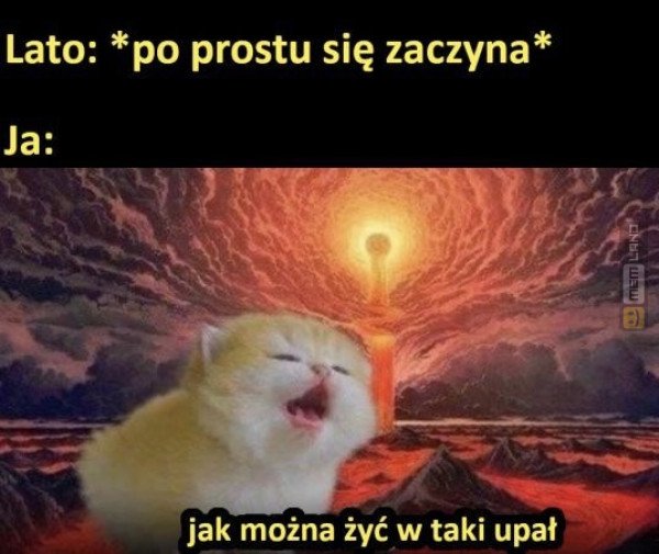 Śmieszny mem: 2023717 - MemLand