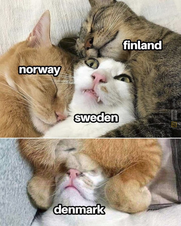 Śmieszny mem: 2028193 - MemLand