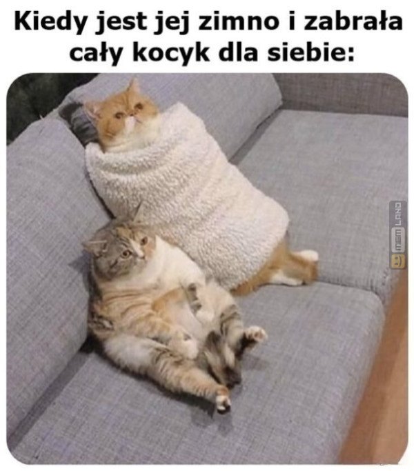 Śmieszny mem: 2036630 - MemLand