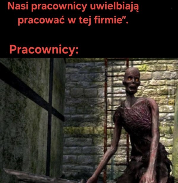 Śmieszny mem: 2039149 - MemLand