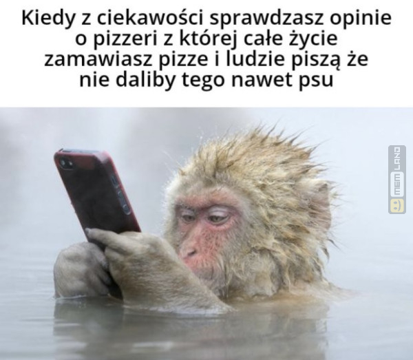 Śmieszny mem: 2042615 - MemLand