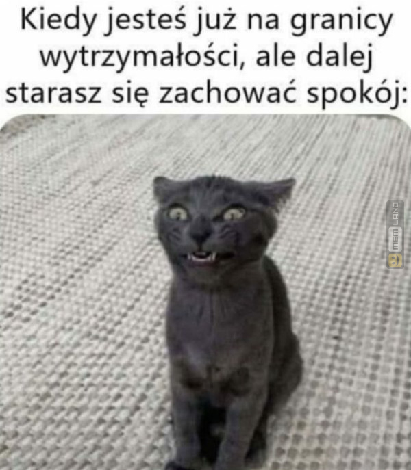 Śmieszny mem: 2045964 - MemLand