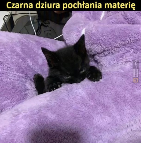 Śmieszny mem: 2047897 - MemLand