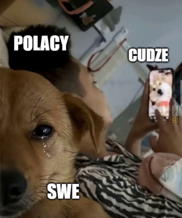 Śmieszny mem: 2049940 - MemLand