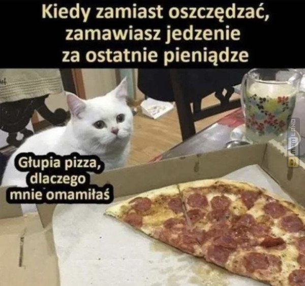 Śmieszny mem: 2055152 - MemLand