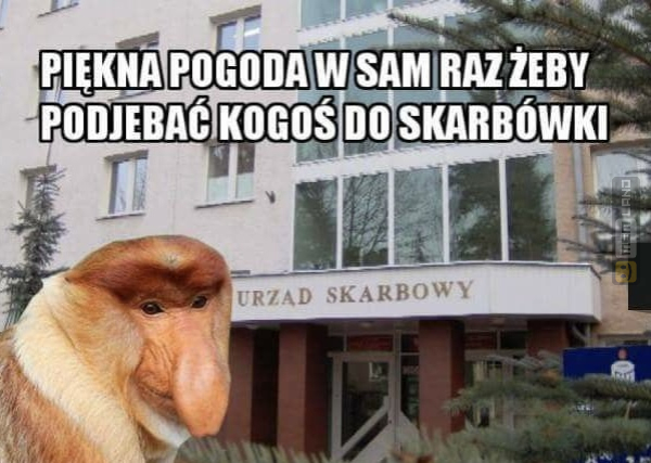 Śmieszny mem: 2056871 - MemLand