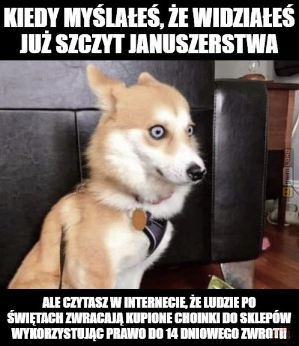 Śmieszny mem: 2068500 - MemLand