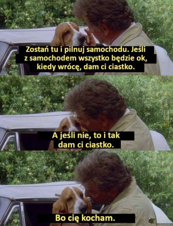 Śmieszny mem: 2072052 - MemLand