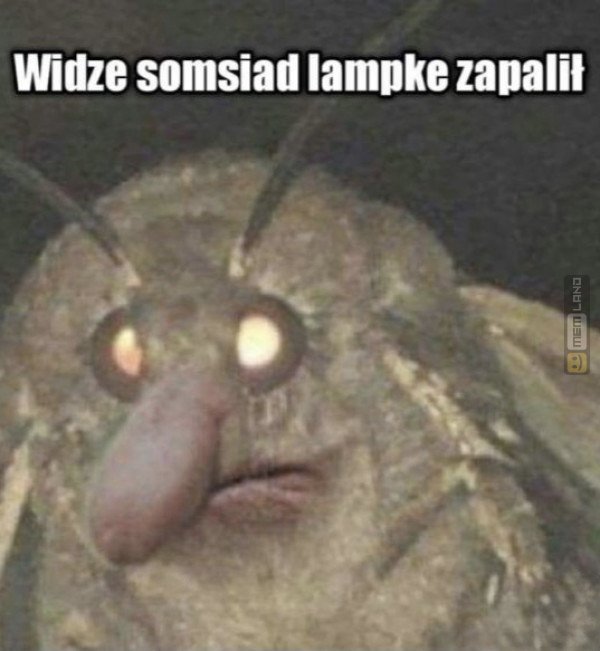 Śmieszny mem: 2075077 - MemLand