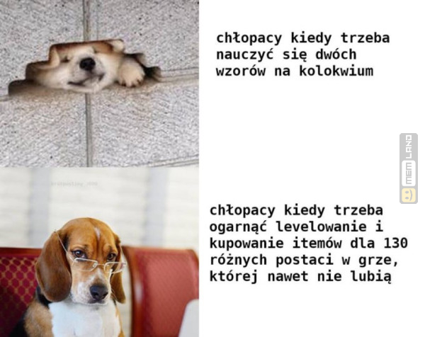 Śmieszny mem: 2076590 - MemLand