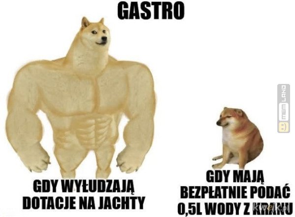 Śmieszny mem: 2088984 - MemLand