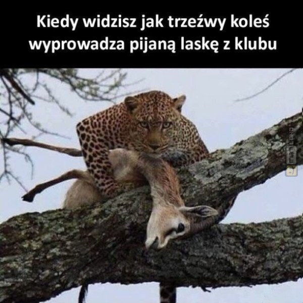 Śmieszny mem: 2094454 - MemLand