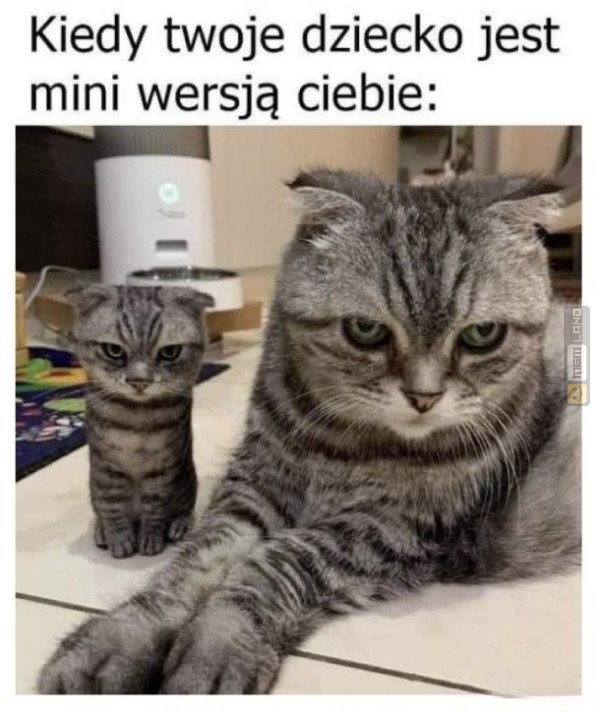 Śmieszny mem: 2101788 - MemLand