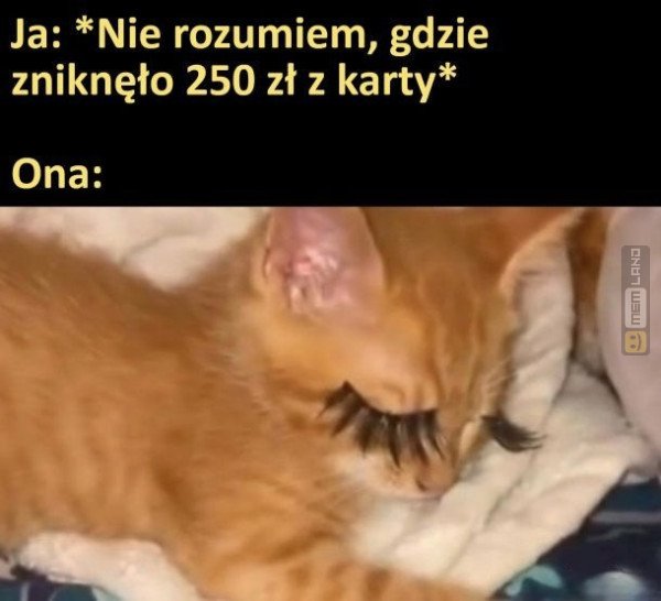Śmieszny mem: 2119509 - MemLand