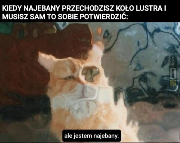 Śmieszny mem: 2123786 - MemLand