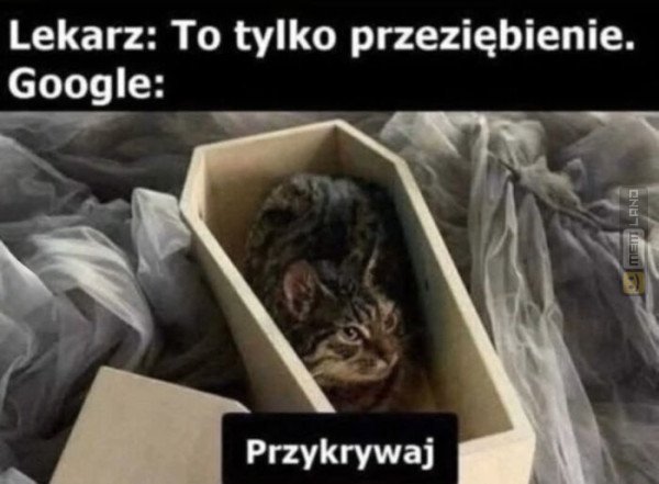 Śmieszny mem: 2125016 - MemLand