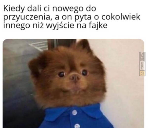 Śmieszny mem: 2138545 - MemLand
