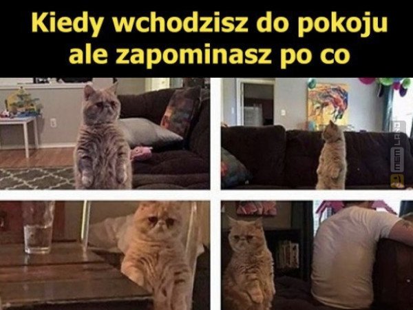 Śmieszny mem: 2143797 - MemLand