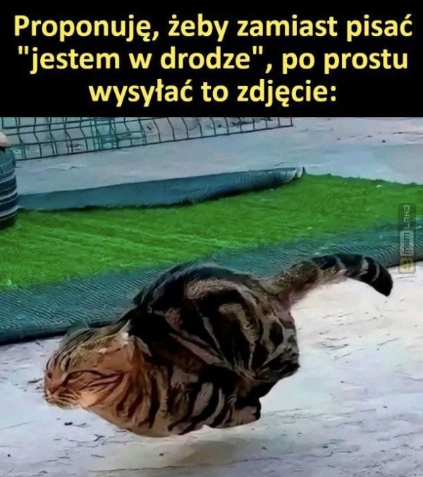Śmieszny mem: 2145985 - MemLand