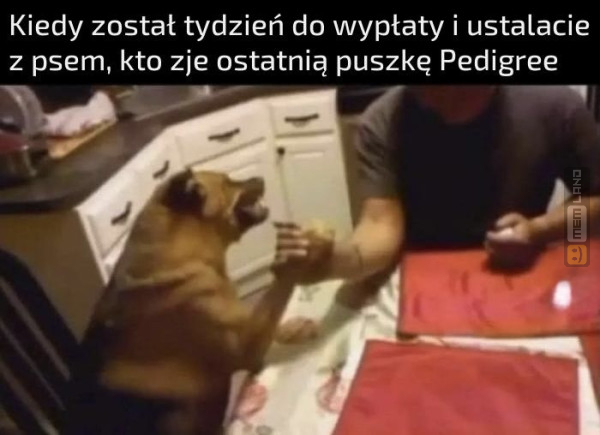 Śmieszny mem: 2151879 - MemLand