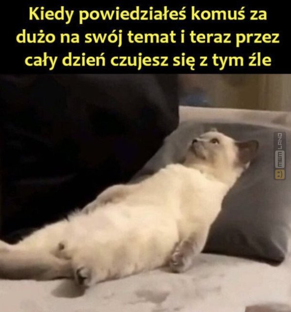 Śmieszny mem: 2153314 - MemLand