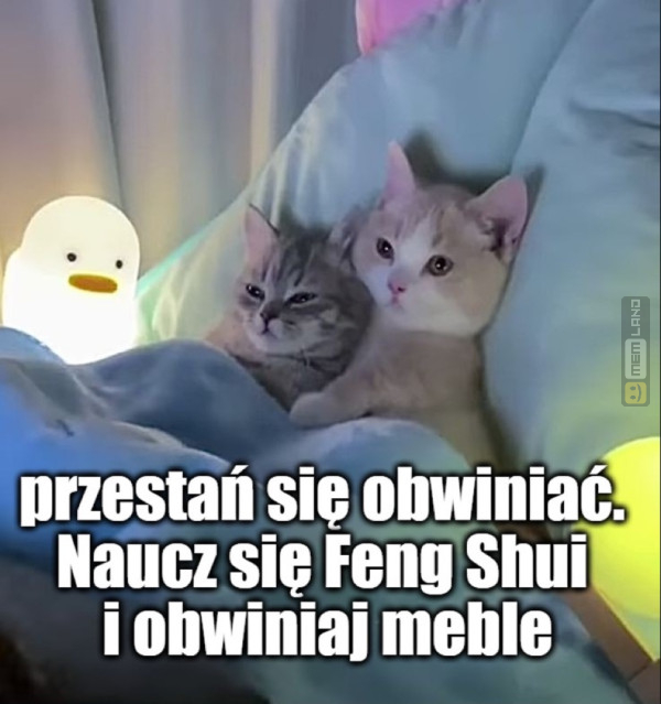 Śmieszny mem: 2154197 - MemLand