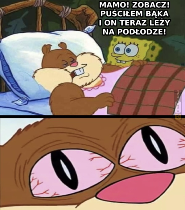 Śmieszny mem: 2159812 - MemLand