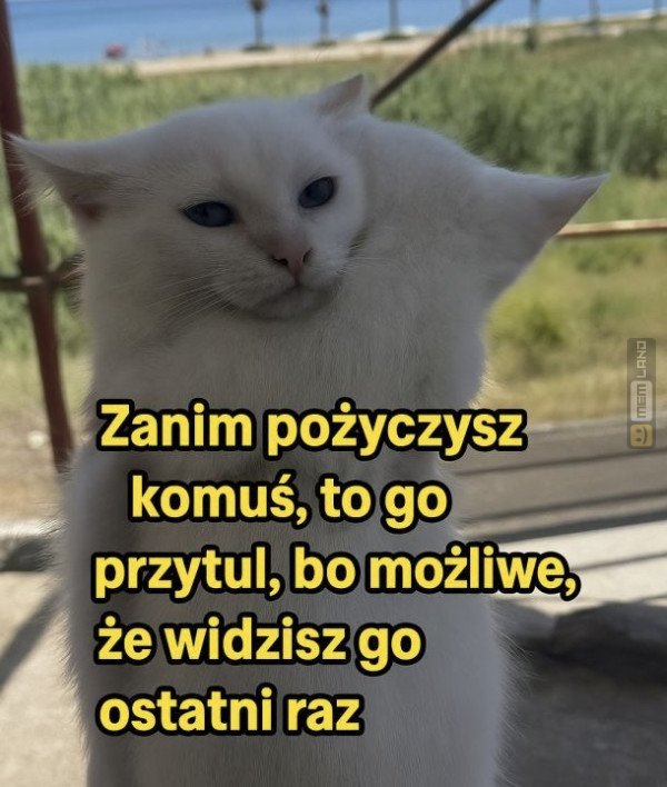 Śmieszny mem: 2161408 - MemLand