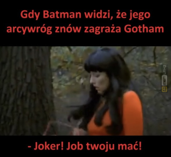 Śmieszny mem: 2166444 - MemLand