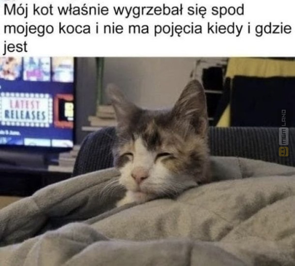 Śmieszny mem: 2170949 - MemLand