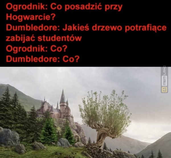 Śmieszny mem: 2171992 - MemLand