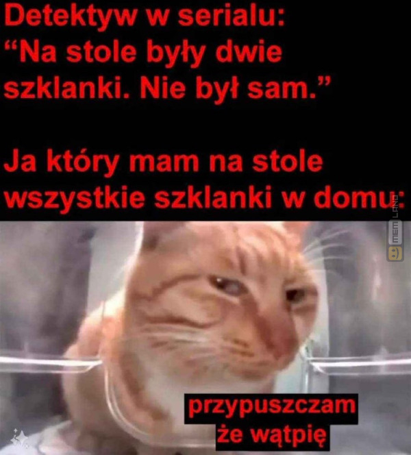 Śmieszny mem: 2172341 - MemLand