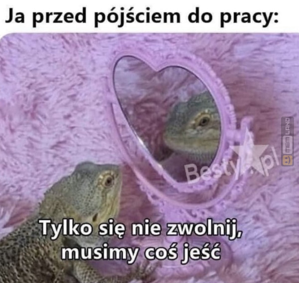 Śmieszny mem: 2180041 - MemLand