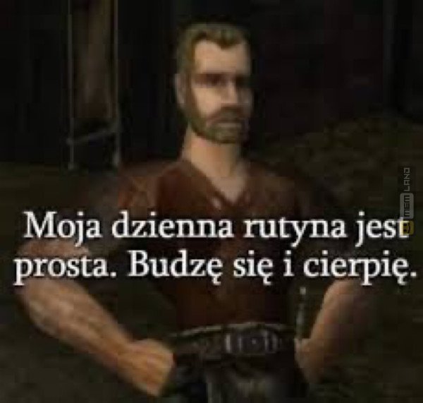 Śmieszny mem: 2181117 - MemLand