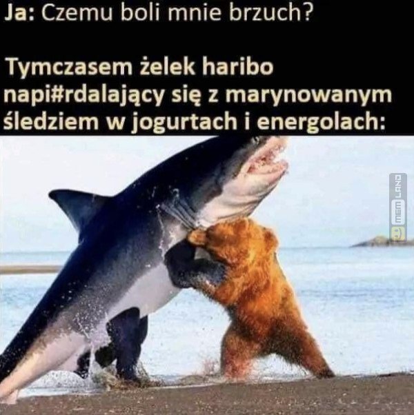 Śmieszny mem: 2189657 - MemLand